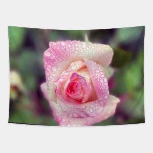 Pink Rose in Spring Rain Tapestry