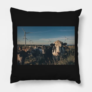 Carnsore Point Wind Farm Cows Pillow