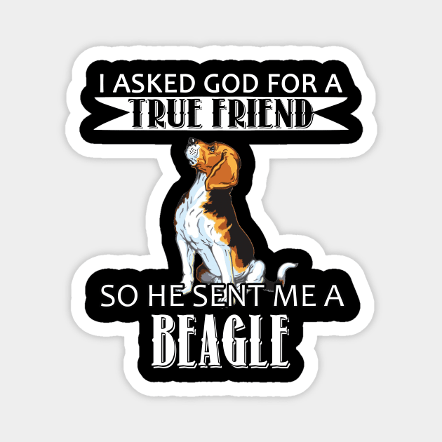 Beagle T-shirt - French Beagle True Friend Magnet by mazurprop