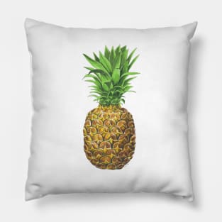 Pineapple, tropical fruit Pillow