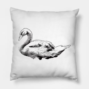 Black Swan drawing vintage Pillow