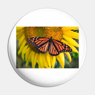 Sunflower and butterfly, Hebron MD USA Pin