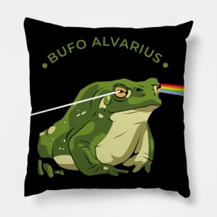 Bufo Alvarius Pillow