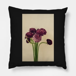 Purple Ranunculus Flowers Pillow