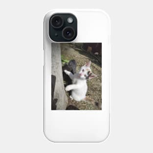 Susie the cat is curious Phone Case