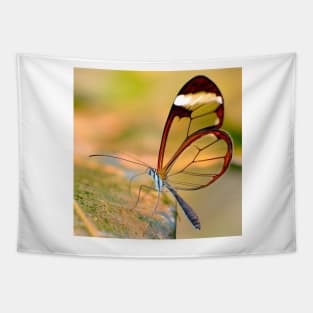 Glasswing Butterfly Tapestry