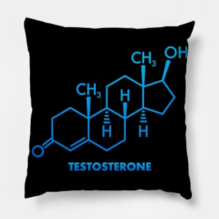 Testosterone Red Pill Masculinity Gym Bodybuilder Gift Pillow