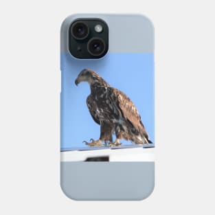 Talons on Metal Phone Case