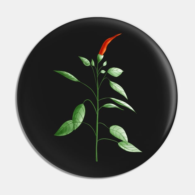 Hot Chili Pepper Plant Botanical Drawing Pin by Boriana Giormova