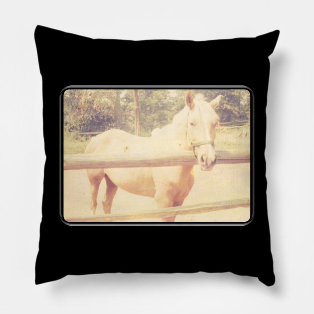 Retro Palomino Horse at Fence Pillow by The Golden Palomino