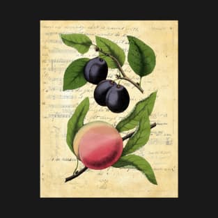 Vintage Plums Peach Botanical on Old Book Pages T-Shirt