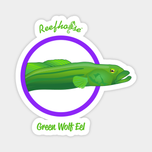 Green Wolf Eel Magnet