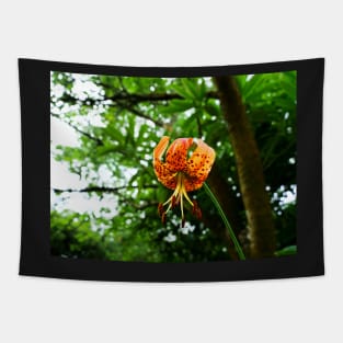 Carolina lily upside down flower Tapestry