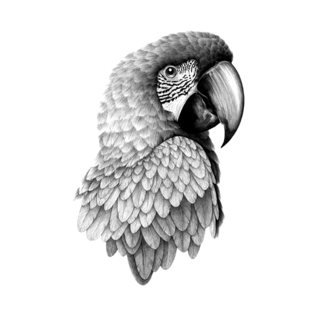Parrot Bird by hitext