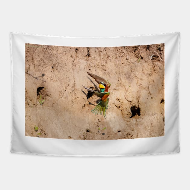 European bee-eater (Merops apiaster) Tapestry by GrahamPrentice