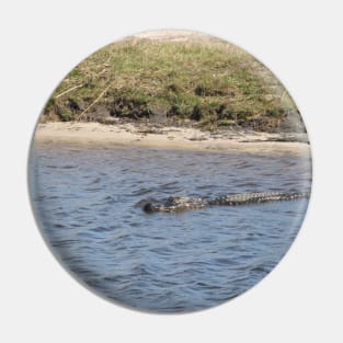 Alligator Swimming in the Water Pin