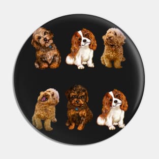 Cavapoo Cavoodle puppy pattern -puppies galore ii ! cute cavalier king charles spaniel Pin