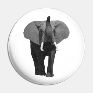 Elephant with the Trunk up in Kenya / Africa Pin