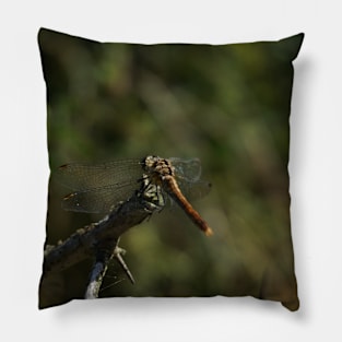 Dragonfly Back Pillow