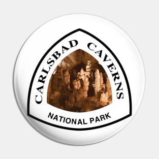 Carlsbad Caverns National Park shield Pin