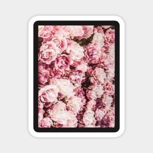 Flowers print, Pastel, Fashion print, Scandinavian art, Modern art, Wall art, Print, Minimalistic, Modern Magnet