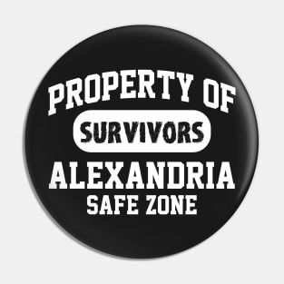 ALEXANDRIA SAFE ZONE Pin