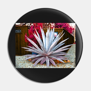 The Agave Pin