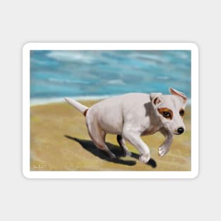 Beautiful Little White Chihuahua Running on The Beach Magnet