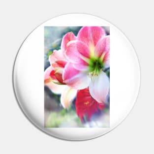 Atmospheric Amaryllis Pin