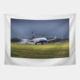 Touch Down Tapestry