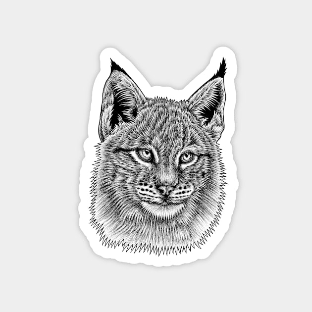 Lynx cat kitten Magnet by lorendowding