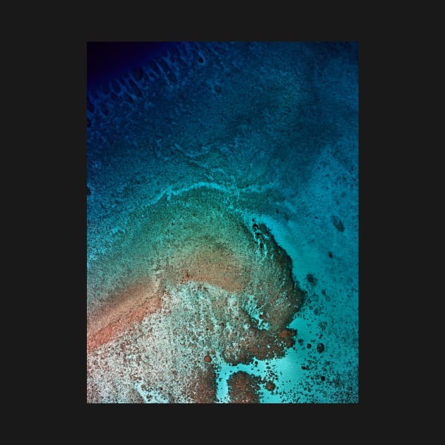 Coral swirl at Cocos atoll. Aerial. by Cocos-Blue