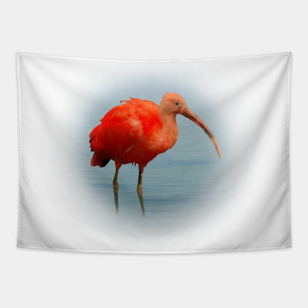 Scarlet ibis Tapestry by Guardi