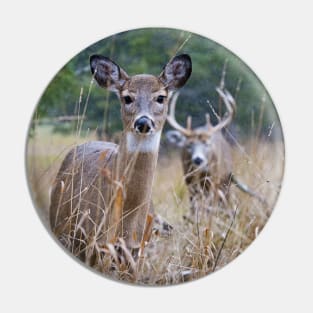 White-Tailed Deer Pin