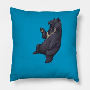 Hello I am Bear. Pillow