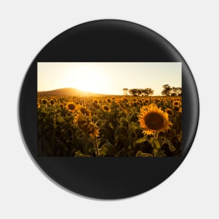 In Golden Fields Pin