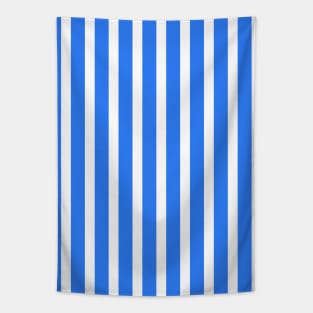 Aali | Blue Stripes Pattern Tapestry