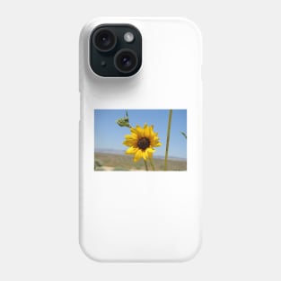 Sun flower, wild flowers, Mojave Desert, California Phone Case