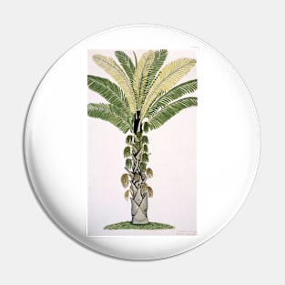 Palm tree, artwork (C012/2356) Pin