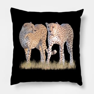 2 Cheetahs - Predator - Cats in Africa Pillow