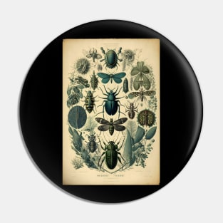 Faux Insect Chart Pin