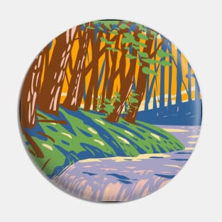 Babbling Brook Pin