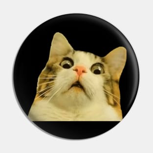 Surprised cat Pin