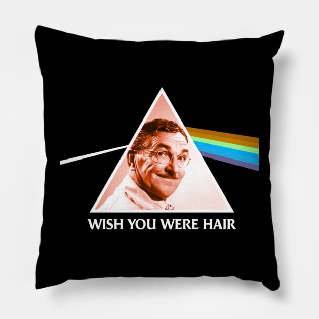 Pink Floyd The Barber Pillow by Purple lily studio