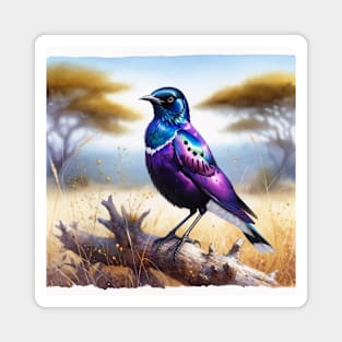 Colorful Violet-Backed Starling - Watercolor Bird Magnet