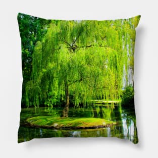 Tiny island with a weeping willow in the centre of a pond full of algae Pillow