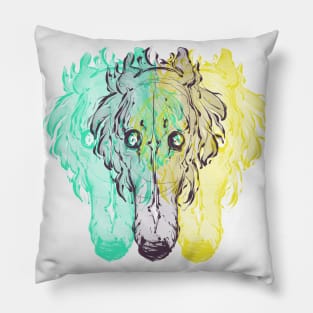 Double Vision Pillow