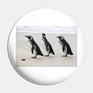 Magellanic Penguins on the Beach Pin