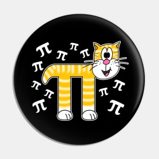 Pi Day Cat Math Teacher Mathematicians Pin