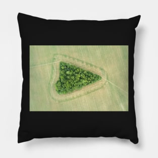 Suffolk Fields #2 Pillow